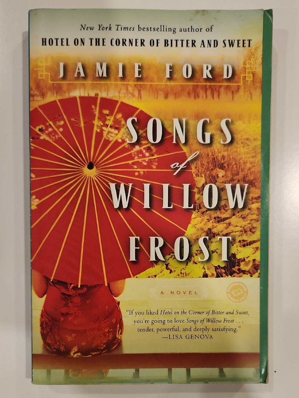 Songs of Willow Frost Paperback